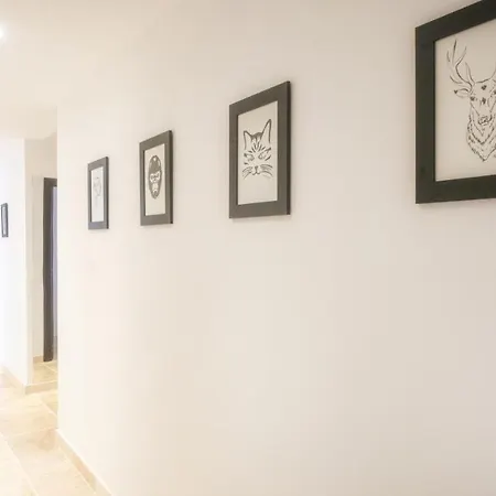 L'ostal - - Et De 25 à 40m2 - 4* Saint-Hilaire-dʼOzilhan