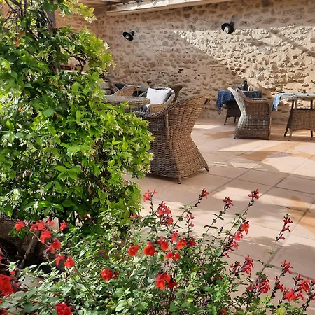 Maison d'hôtes L'ostal - - Et De 25 à 40m2 - Saint-Hilaire-dʼOzilhan